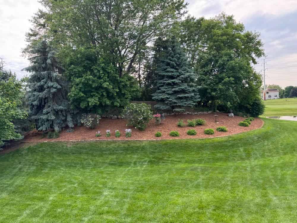 Mulch & Rock Installation image